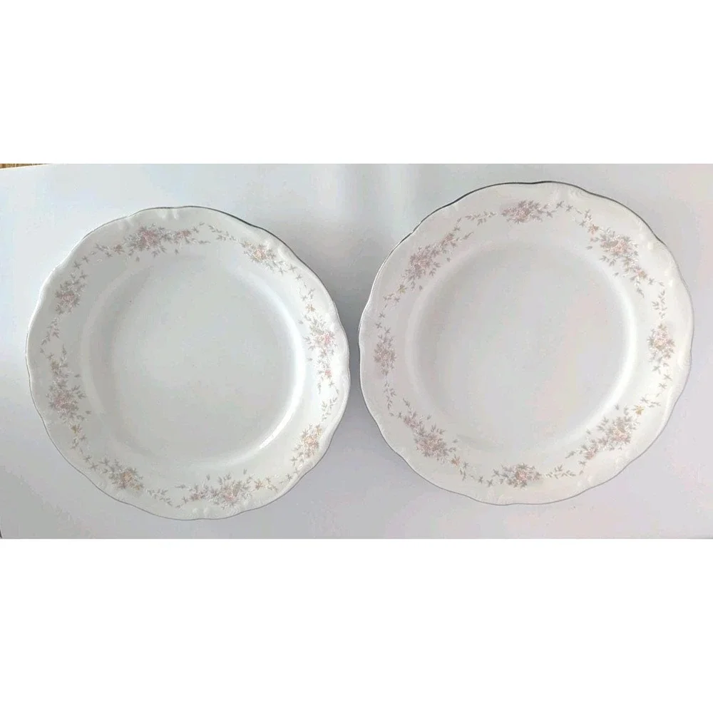 Johann Haviland Bavaria Floral Splendor 10 inch Dinner Plate Set of 2 Germany
